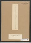 Diatomeae indet. Zeichnungen Sammlung Grunow Nr. 4518 (NHMW-BOT-W0372486)